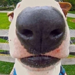 JoeSwansonson's Avatar