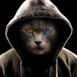 Shanky.Y's Avatar