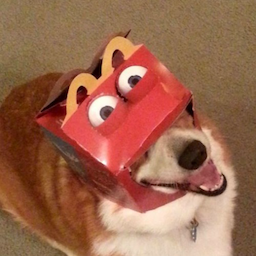 bongesz's Avatar