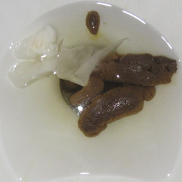LemmeshltOnYou's Avatar
