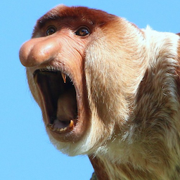 quaiint's Avatar