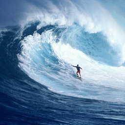ILosTNinjaX's Avatar