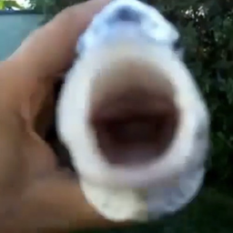 schlompp.'s Avatar
