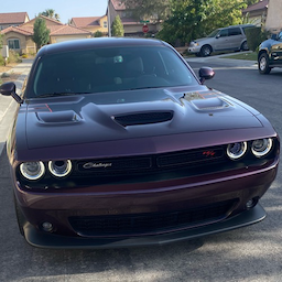 DodgeScat's Avatar