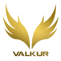 Valkur.-'s Avatar