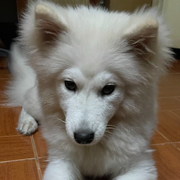 TequilaTon's Avatar