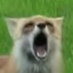 Roxisorai's Avatar