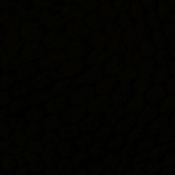 Tkyx's Avatar