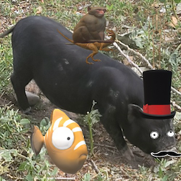DingleJohnson's Avatar