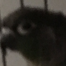 Riv3r.'s Avatar