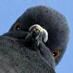 Paloma.'s Avatar