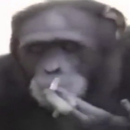 Alzamil-'s Avatar