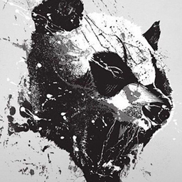 PANG___'s Avatar