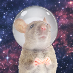 Satisfy.'s Avatar