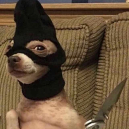 sinje's Avatar