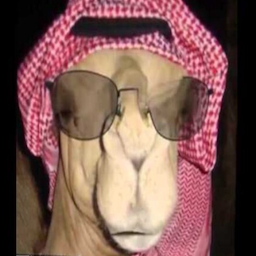 Rm2dy's Avatar
