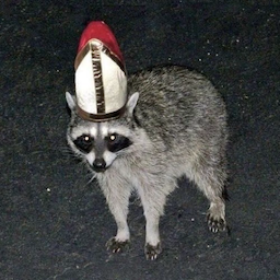 Waschbaer00's Avatar