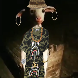 StillGalaxyy's Avatar