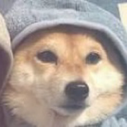 sushi.'s Avatar