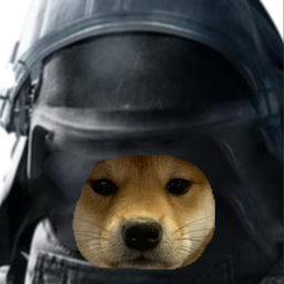 ThiccSunRays's Avatar
