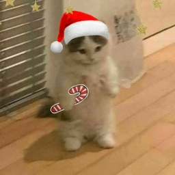 GLUBBB0's Avatar
