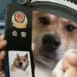 CorgiLover1947's Avatar