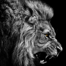 Manke.'s Avatar