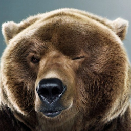 BBrelyT.'s Avatar