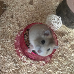 EeungE's Avatar