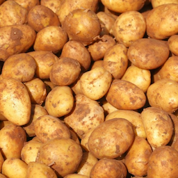 IBeAPotatoes's Avatar