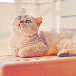 MooNSh1nE-'s Avatar