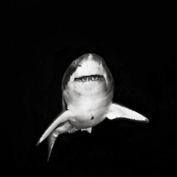 TiltShift's Avatar