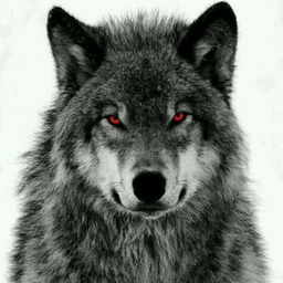 Raksha..'s Avatar
