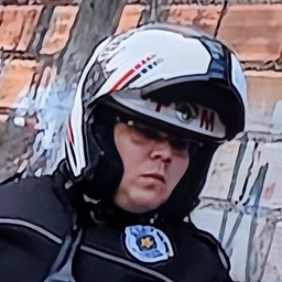 evolWILL.'s Avatar