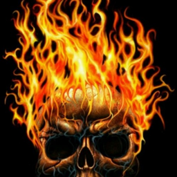 BESTcopperDUDU's Avatar