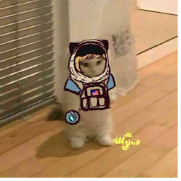 Gr-ass's Avatar
