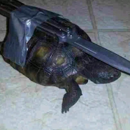 TheWickedTurtle's Avatar