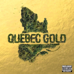 QcGold187's Avatar