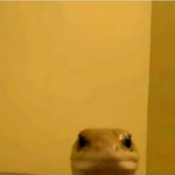 Floatinggbrr's Avatar