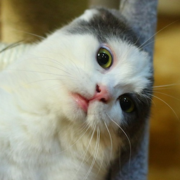 Godfrey-.'s Avatar