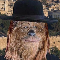 Jewbacca.-.'s Avatar