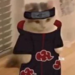 T0M_TRIM's Avatar
