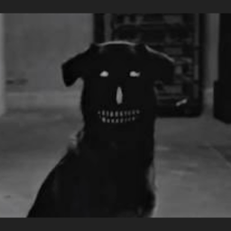 Schorry.Morry's Avatar