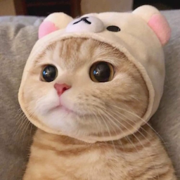 miyongsa's Avatar
