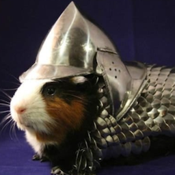 Ritterschwein's Avatar