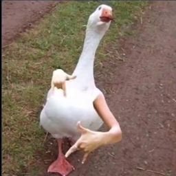 Nedyac.'s Avatar