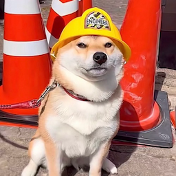 sprweeb.'s Avatar