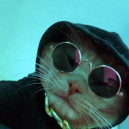 Busted.'s Avatar