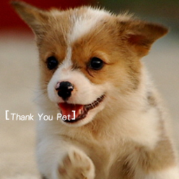 DOGI.BLS's Avatar