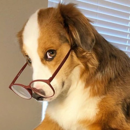 URGRANDPAISAD0G's Avatar